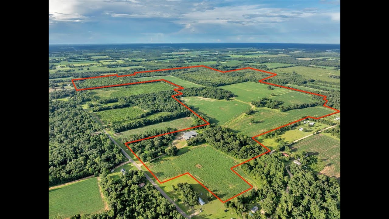 377+ Acres NW Florida Farm For Sale | Mossy Oak Properties Southern Land & Homes