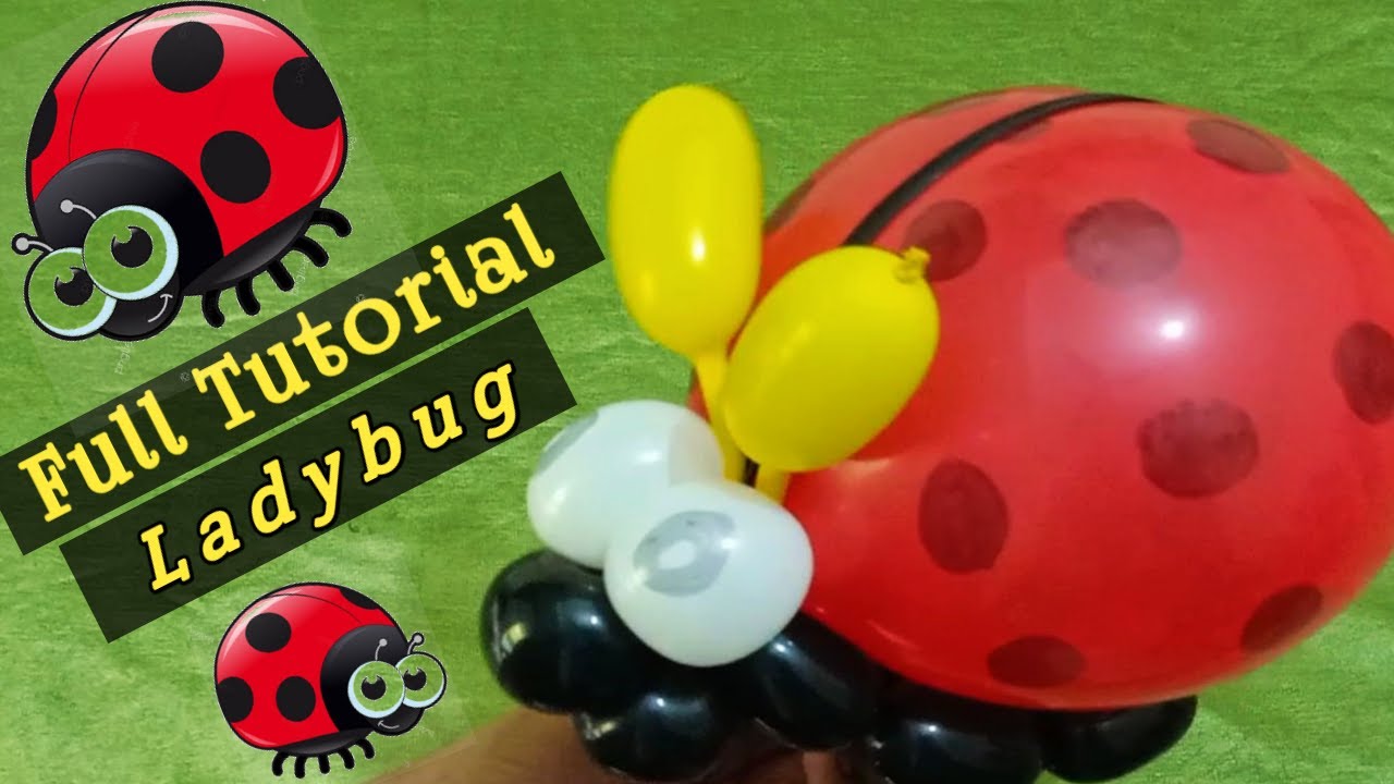 lady bug balloon animal tutorial / ladybug balloon making