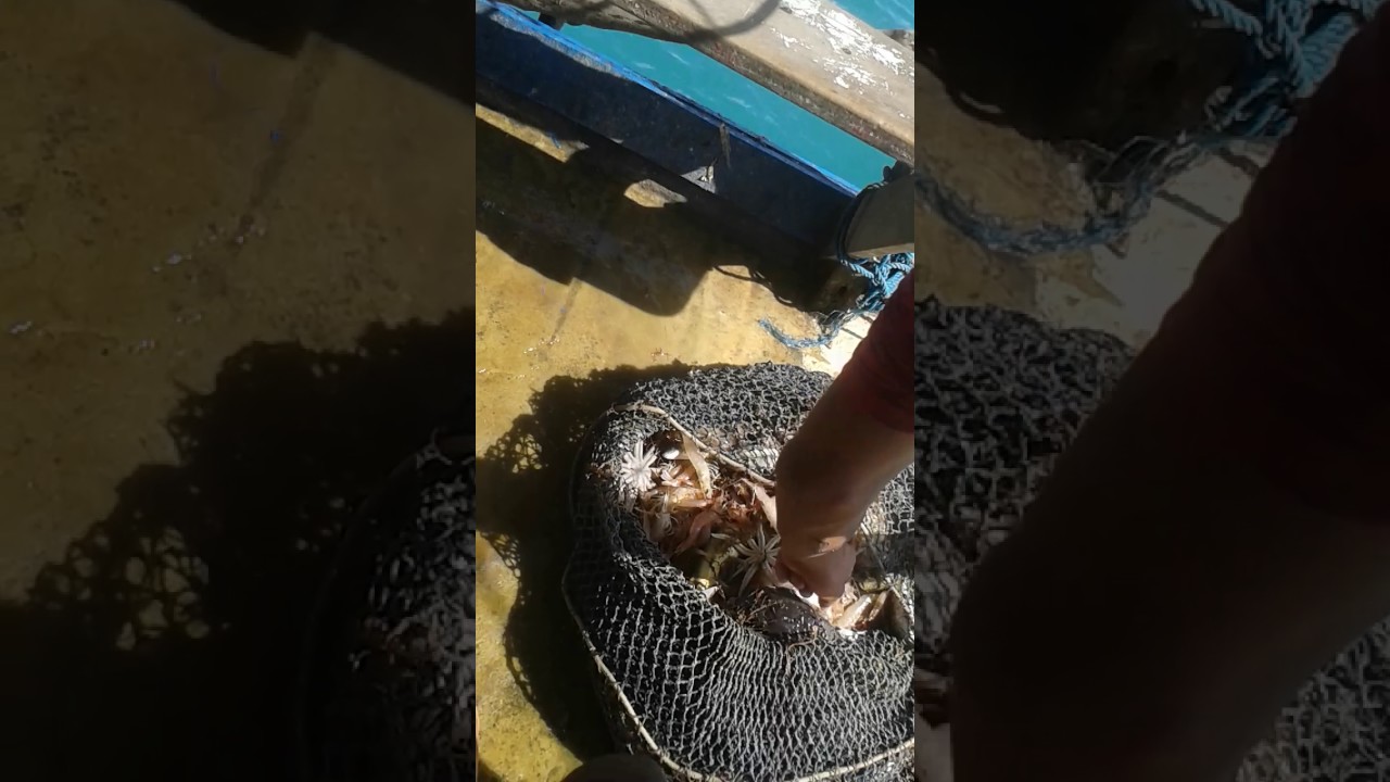 Pescaria no barco de arrast&atilde;o.(7)