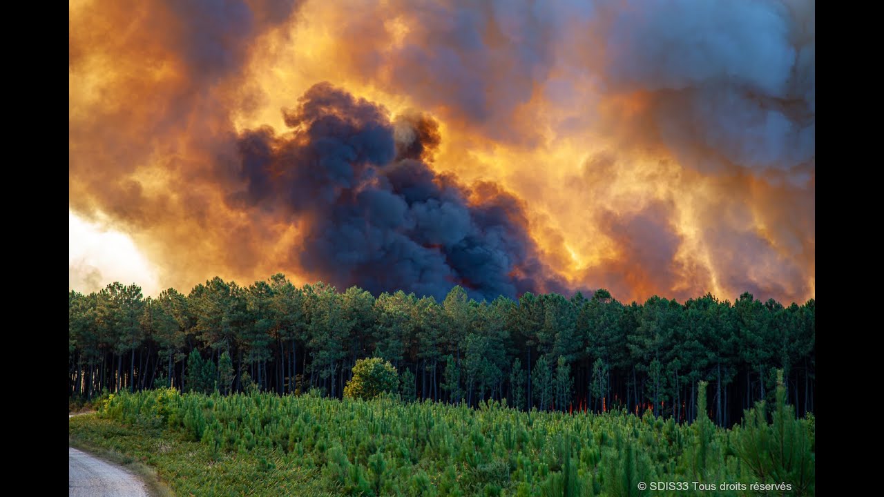 Incendies de forets en Gironde 2022