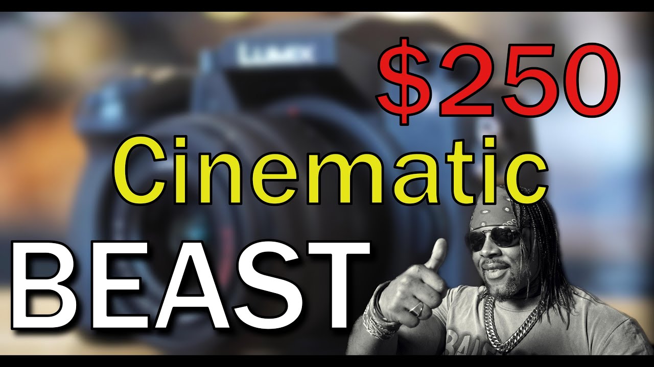 THE $250 Cinematic Beast