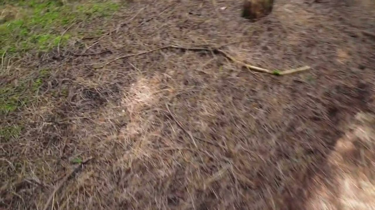 Testing the Dji mini 2se drone in tight spaces