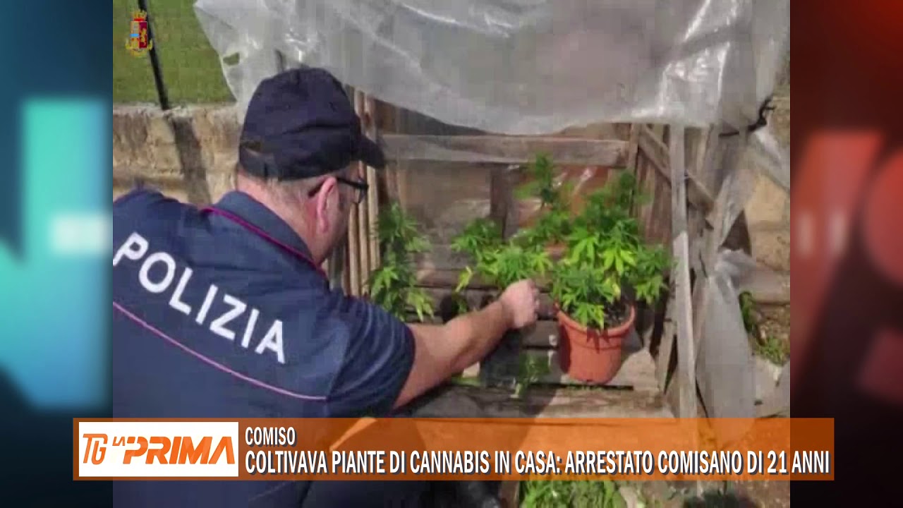 Coltivava piante di cannabis in casa: arrestato comisano di 21 anni