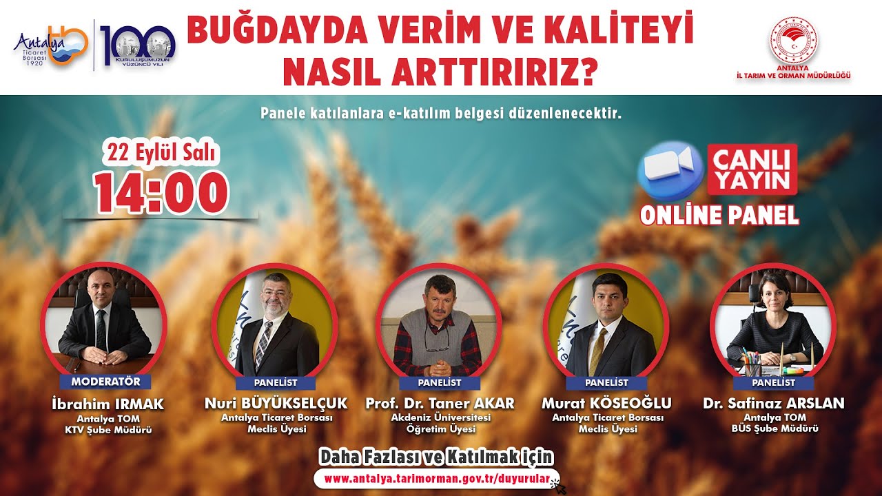 Buğdayda Verim ve Kaliteyi Nasıl Arttırırız - Online Panel