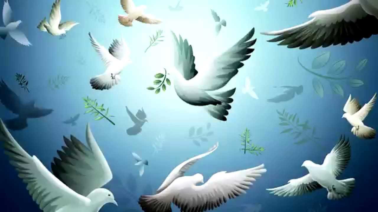 Project 1 - Letter To Mr.President (သမၼတႀကီးထံသို႔ ေပးစာ)