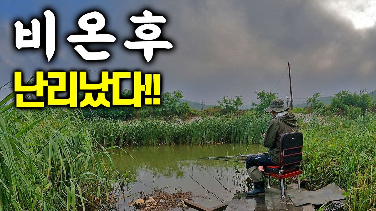 비가 오면 수로에 가서 빠가사리를 잡자. 동자개낚시
