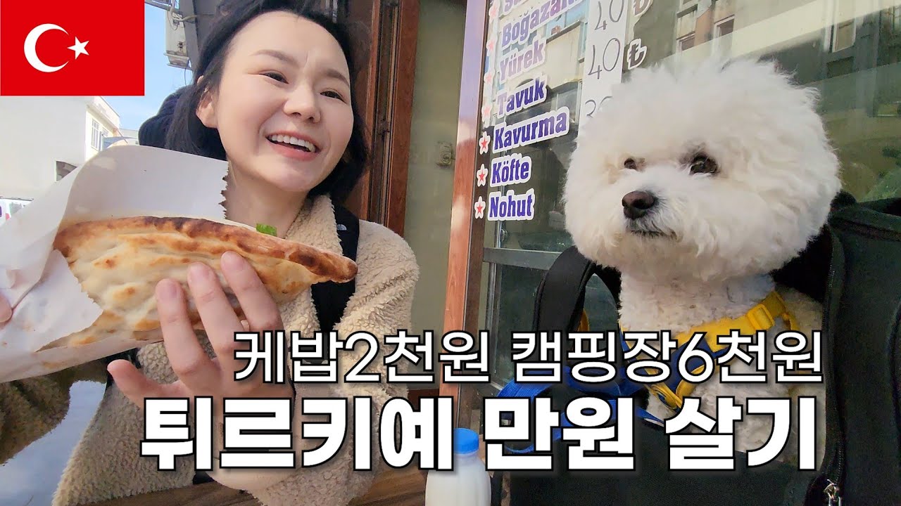 🇹🇷 물가 폭등 터키 만원으로 하루 살이 가능? 터키 튀르키예 여행 / 캠핑카 여행 / 강아지 해외여행 / 스타렉스 캠핑카 / 유라시아 횡단 [036]