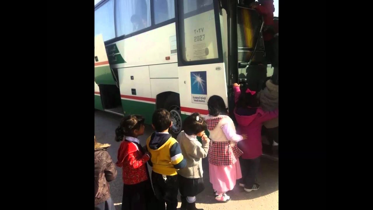 مدارس الألباب