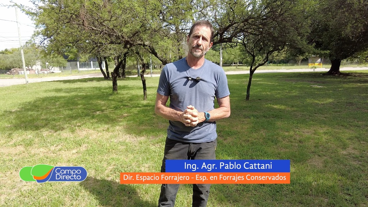 Siembra de alfalfa: claves para lograr una implantación eficiente en otoño