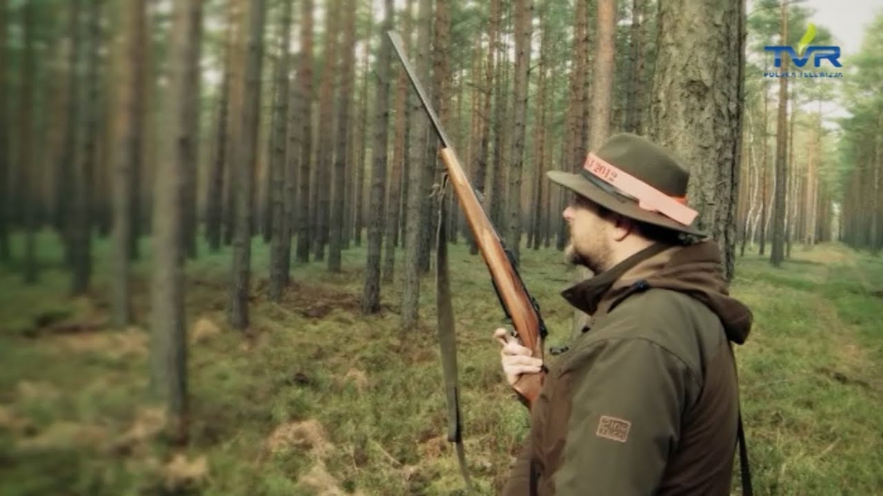 Darz Bór odc. 36 - Polowanie zbiorowe