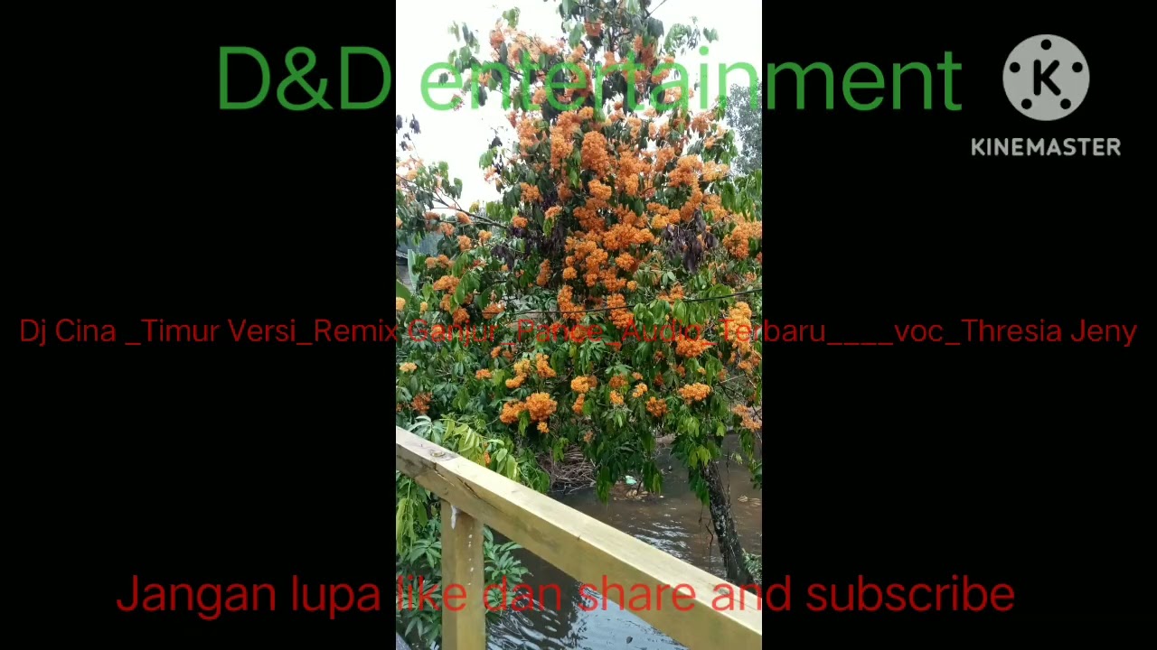 DJ_Cina_Timur_Versi_Ganjur_Pance_Audio_voc_Thresia Jeny