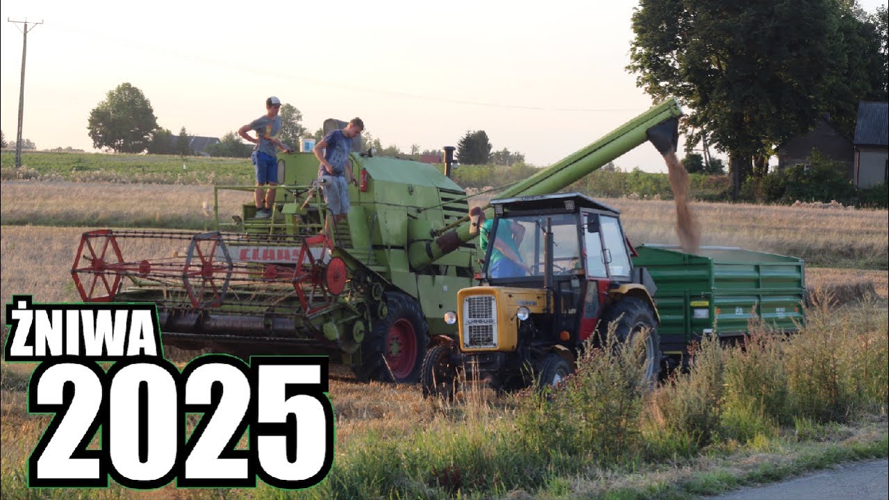 ŻNIWA 2025! CLAAS MERCATOR 75 x URSUS C-360