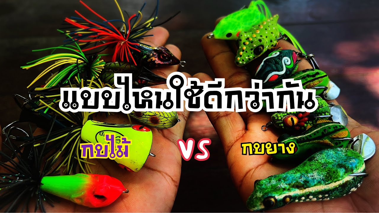 6 คำถามยอดฮิต กบยาง vs กบไม้ แบบไหนใช้ดีกว่ากัน