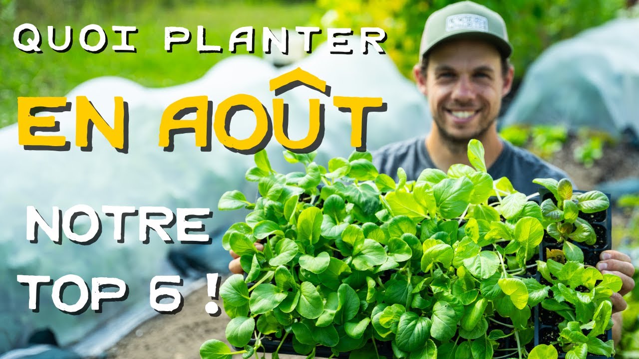 QUOI planter en AOÛT pour prolonger les récoltes ? 🌱