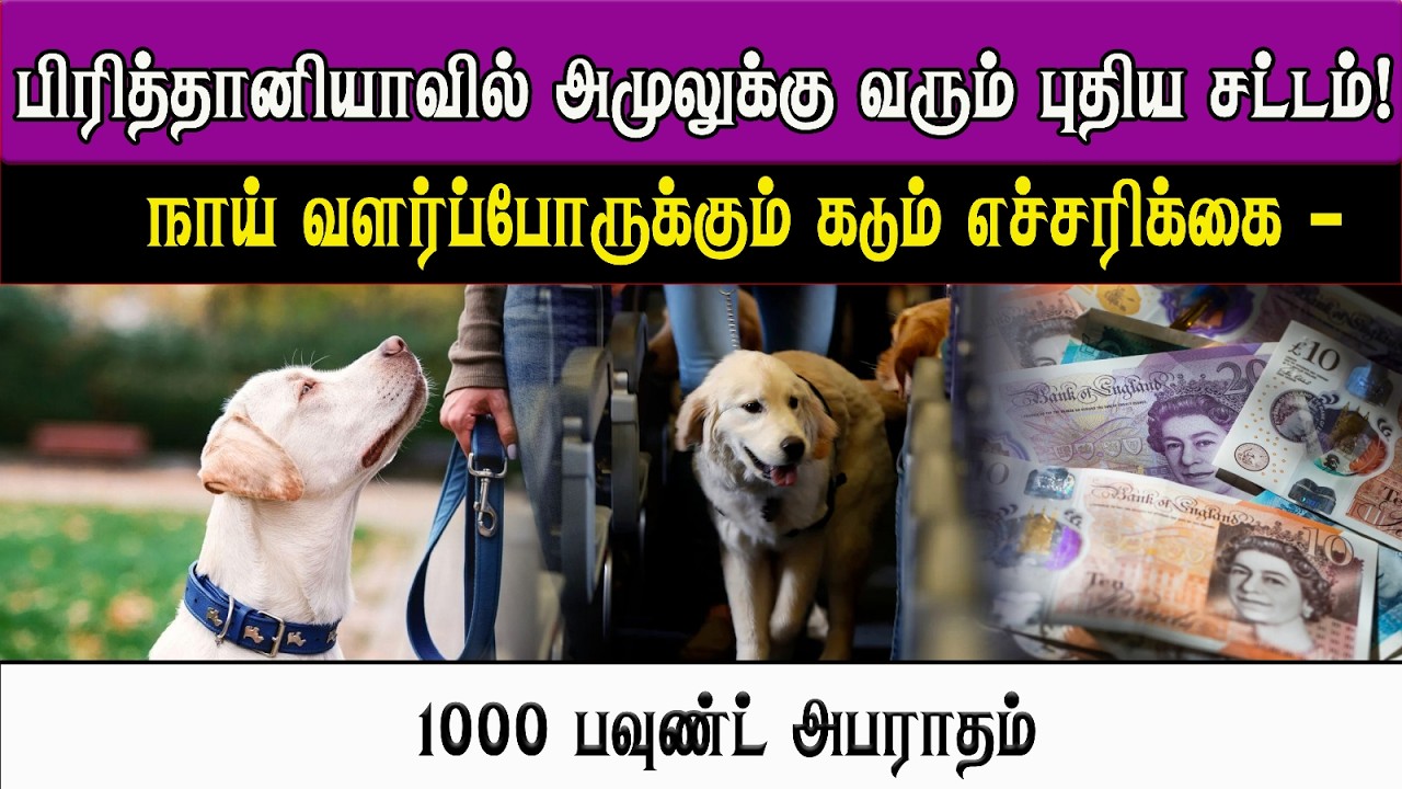 பிரித்தானியாவில் அமுலுக்கு வரும் புதிய சட்டம்! நாய் வளர்ப்போருக்கும் கடும் எச்சரிக்கை