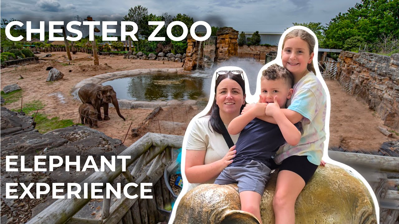 Up Close with Elephants at Chester Zoo – Giving Them a Shower!