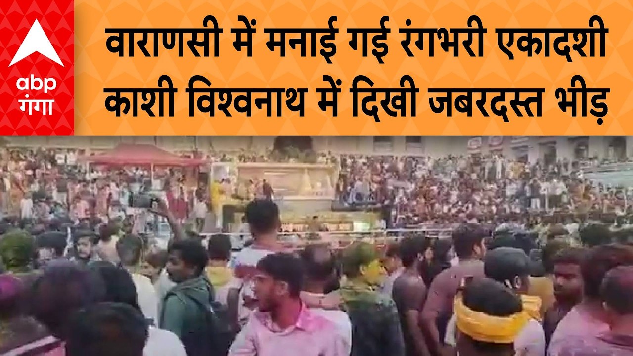 UP News: वाराणसी में धूमधाम से मनाई गई रंगभरी एकादशी,  काशी विश्वनाथ में दिखी जबरदस्त भीड़