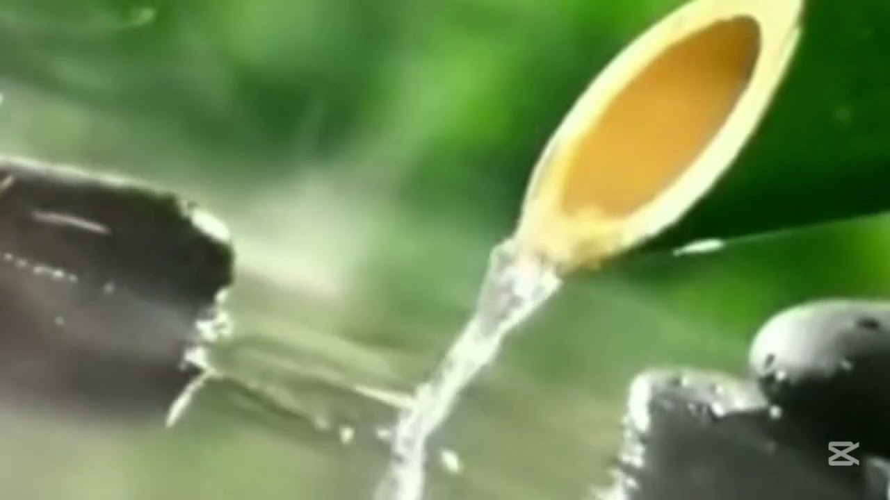 Relax with music and frogs croaking in nature and the sound of flowing water