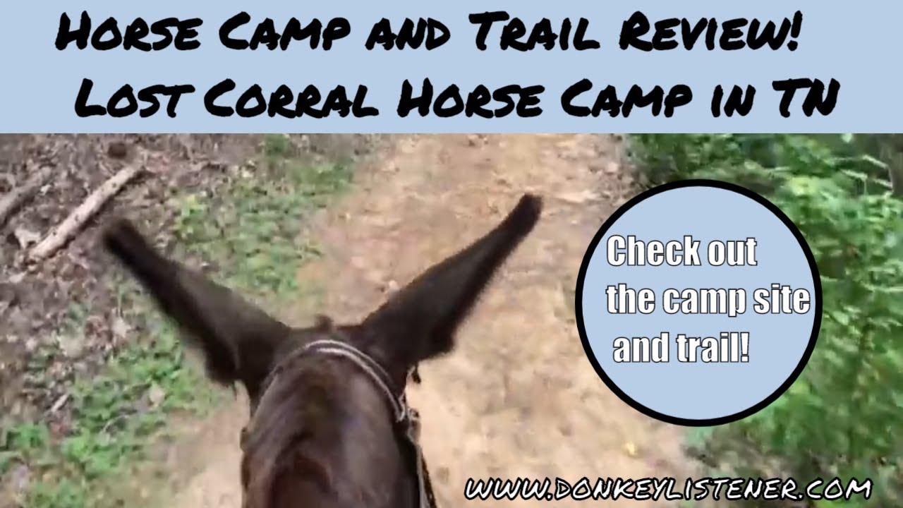 Lost Corral Horse Camp Review {Horse Camping with my Donkey}