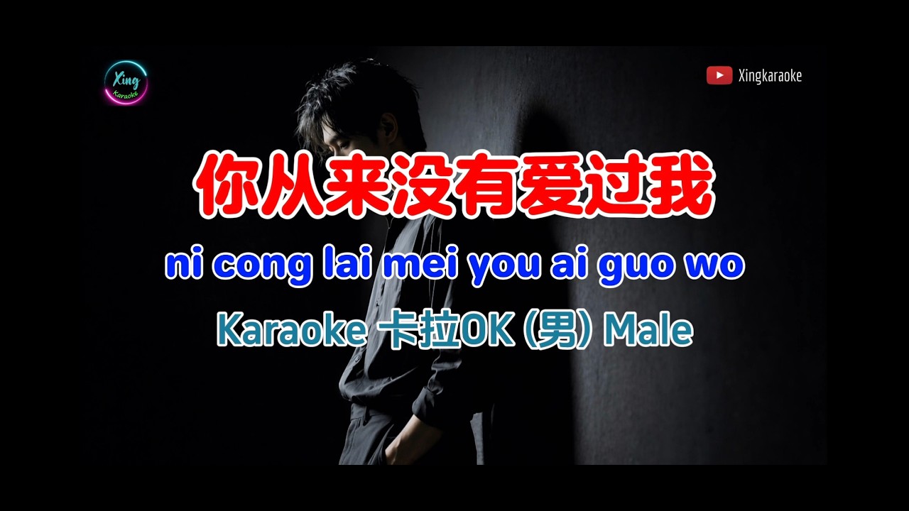 你从来没有爱过我 男声卡拉OK | Ni Cong Lai Mei You Ai Guo Wo Karaoke Male Key