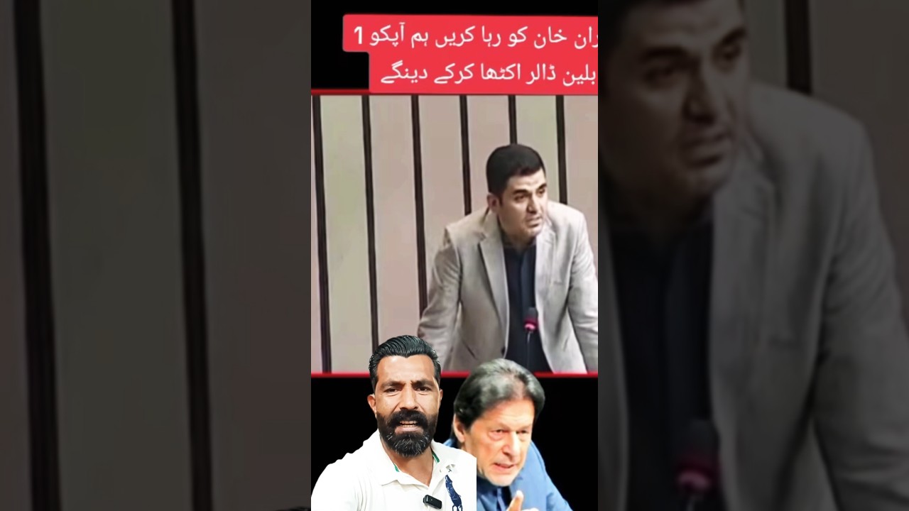 Imran Khan Pakistani Public Happy Short Video #imrankhan #pakistani #public #happy #shortvideo