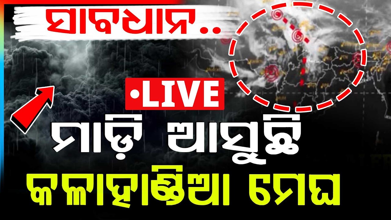 🔴Live | ମାଡ଼ି ଆସୁଛି କଳାହାଣ୍ଡିଆ ମେଘ | Heavy Rain Alert | Weather Update | Odisha News | Argus News