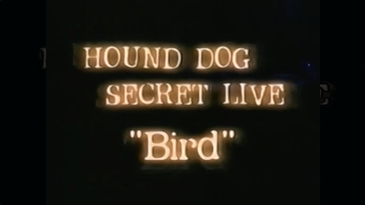 HOUND DOG 2001 (シークレットライブ”Bird”) LIVE (FULL)