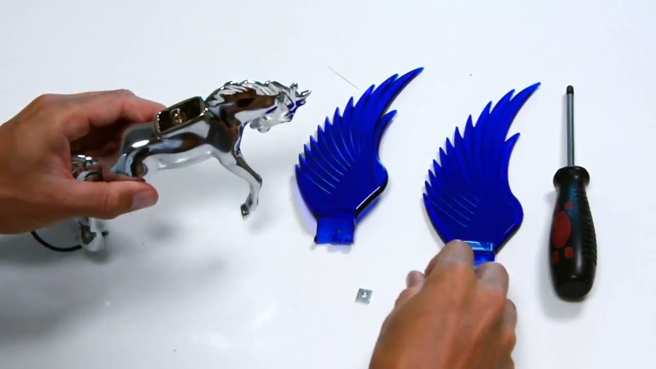 Replacing Grand General WindRider Hood Ornament Wings with Raney's!