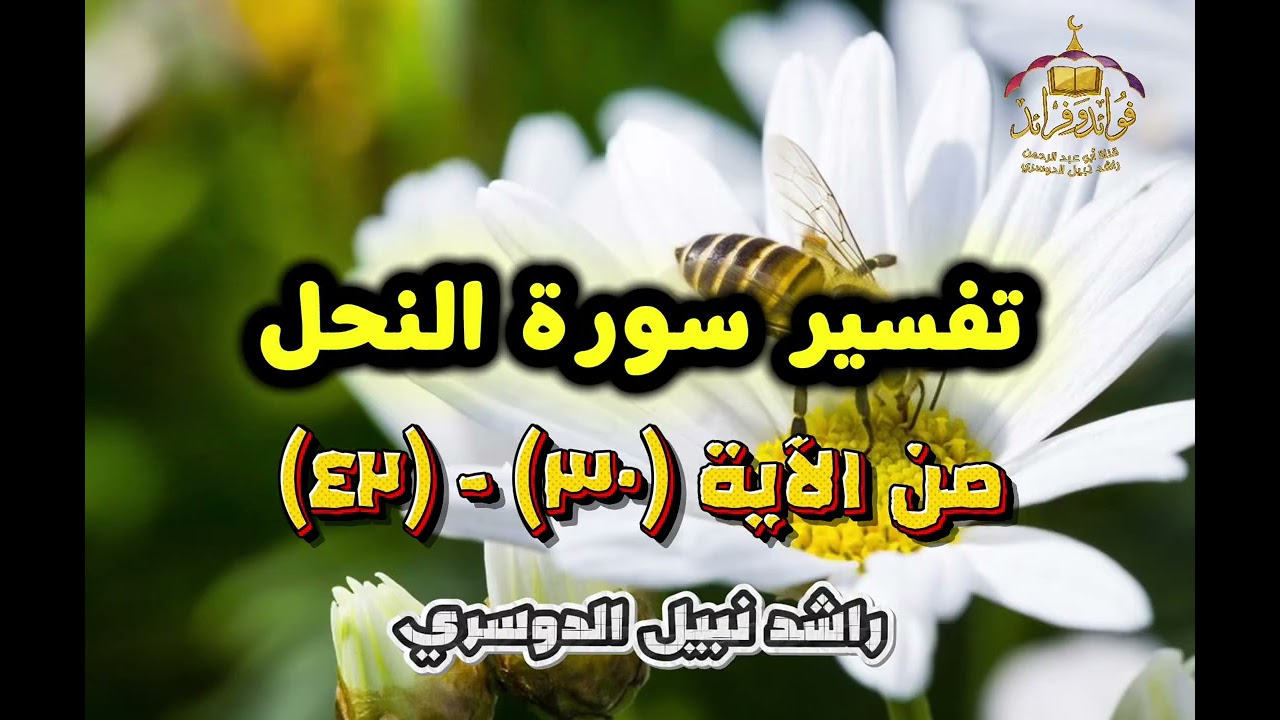 ٦. تفسير سورة النحل (٣٠) - (٣٤) راشد نبيل الدوسري