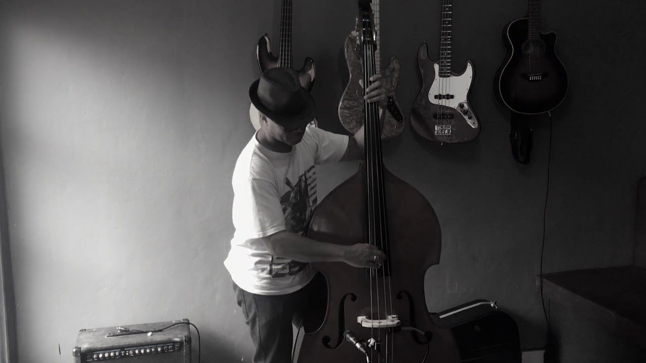 Ozeas fender ACOUSTIC BASS