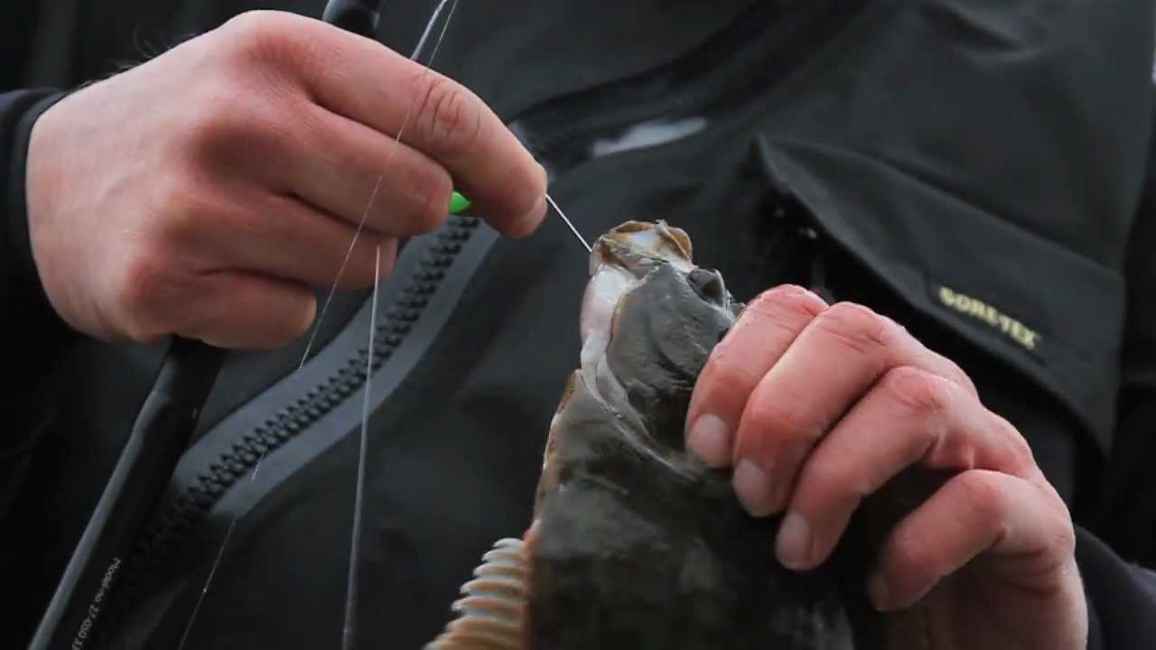 Plattfiskguiden - Skrubba - Tactics for flounder fishing
