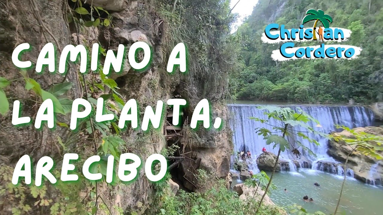 Camino a La Planta, Arecibo