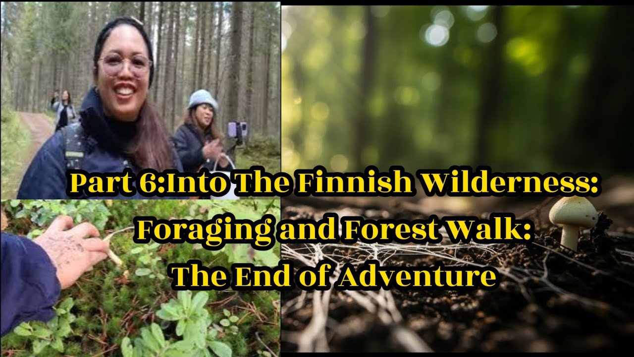 Part 6:Into the Finnish Wilderness:Foraging And Forest Walk:The End of Adventure #foraging #finland
