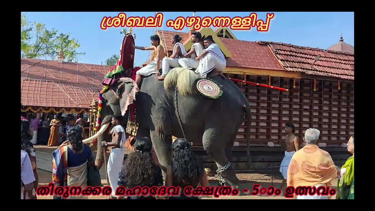 Kottayam Thirunakkara Mahadeva Temple, 5th Day Utsavam and Programmes, 19/3/25
