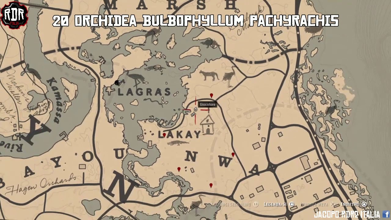 RDR2 SFIDA ERBORISTA 9 | 43 SPECIE DI PIANTE RACCOLTE (posizione 100% sicura per ciascuna pianta)