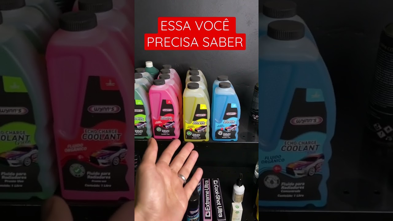 TODO MUNDO ESCOLHE ERRADO!