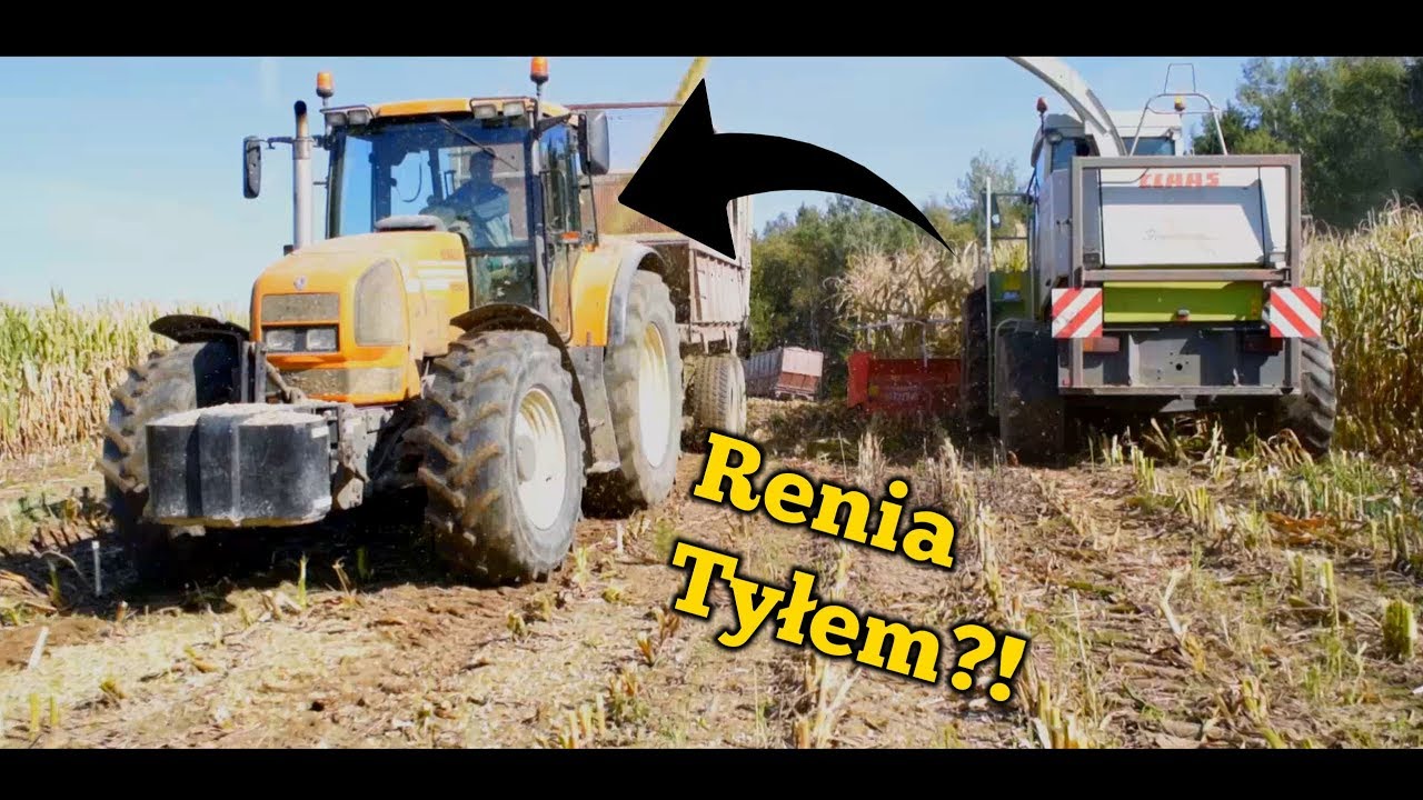 RENIA TYŁEM?! | KUKURYDZA 2019 | PODLASKIE