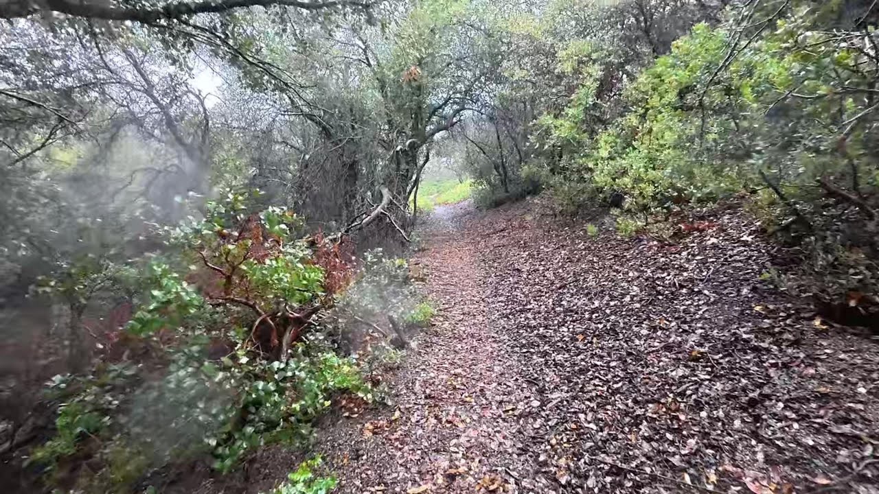 Super Cloud Rainy! 