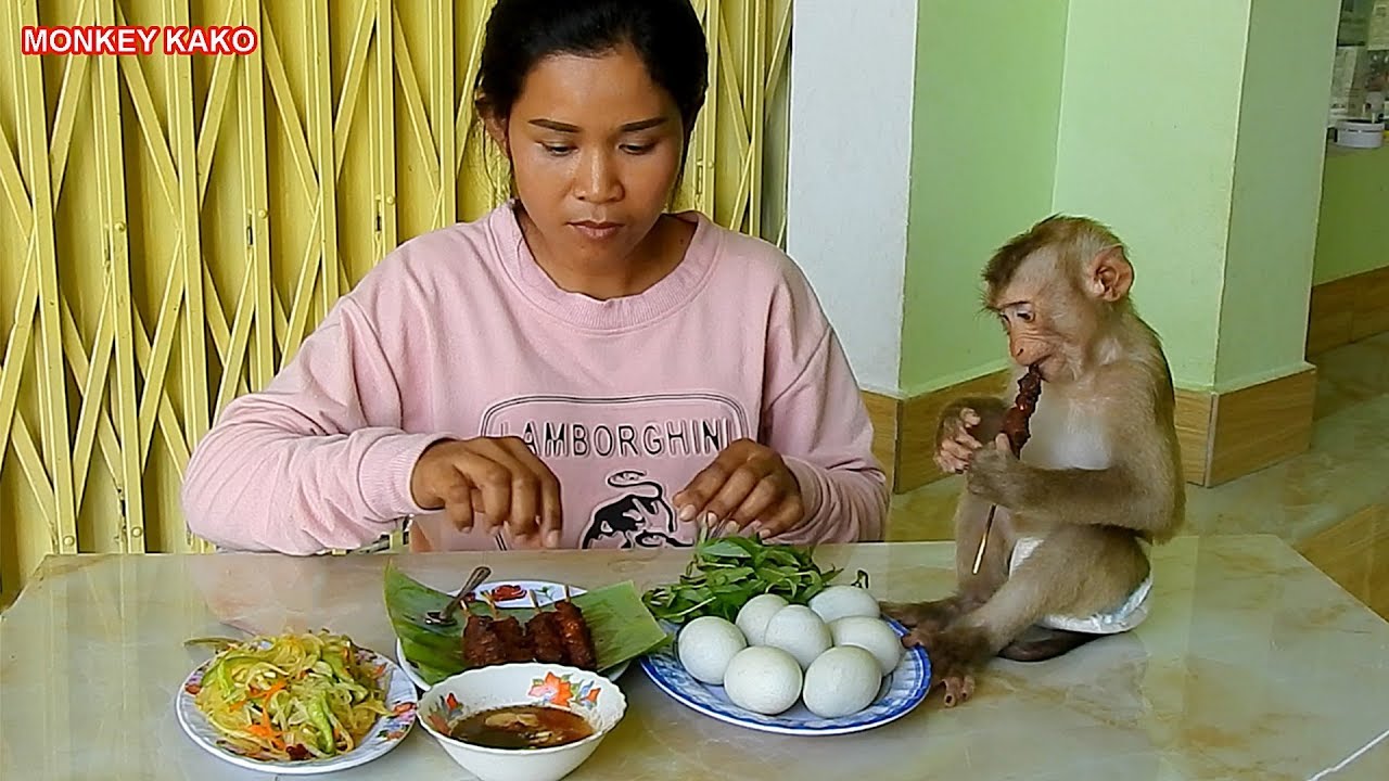 Monkey Kako And Mom Eat Boiled Baby Duck Eggs And Grilled Beef Skewers