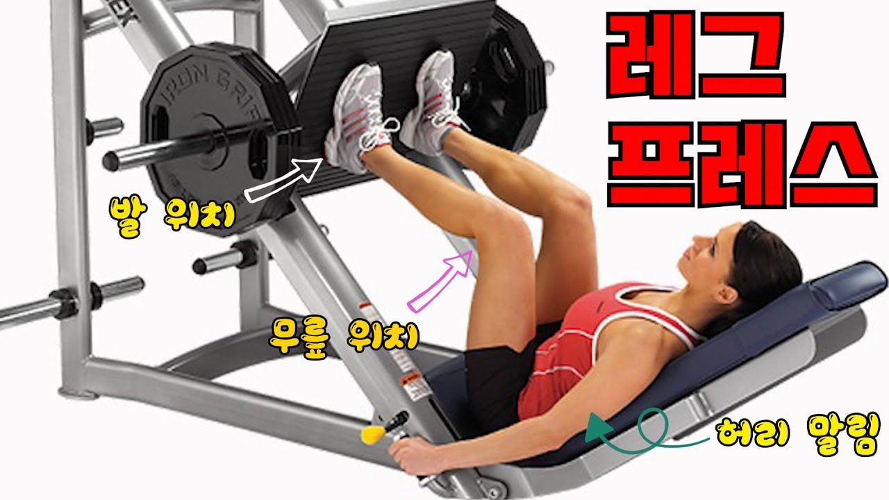 레그프레스(발,무릎,허리,가동범위)