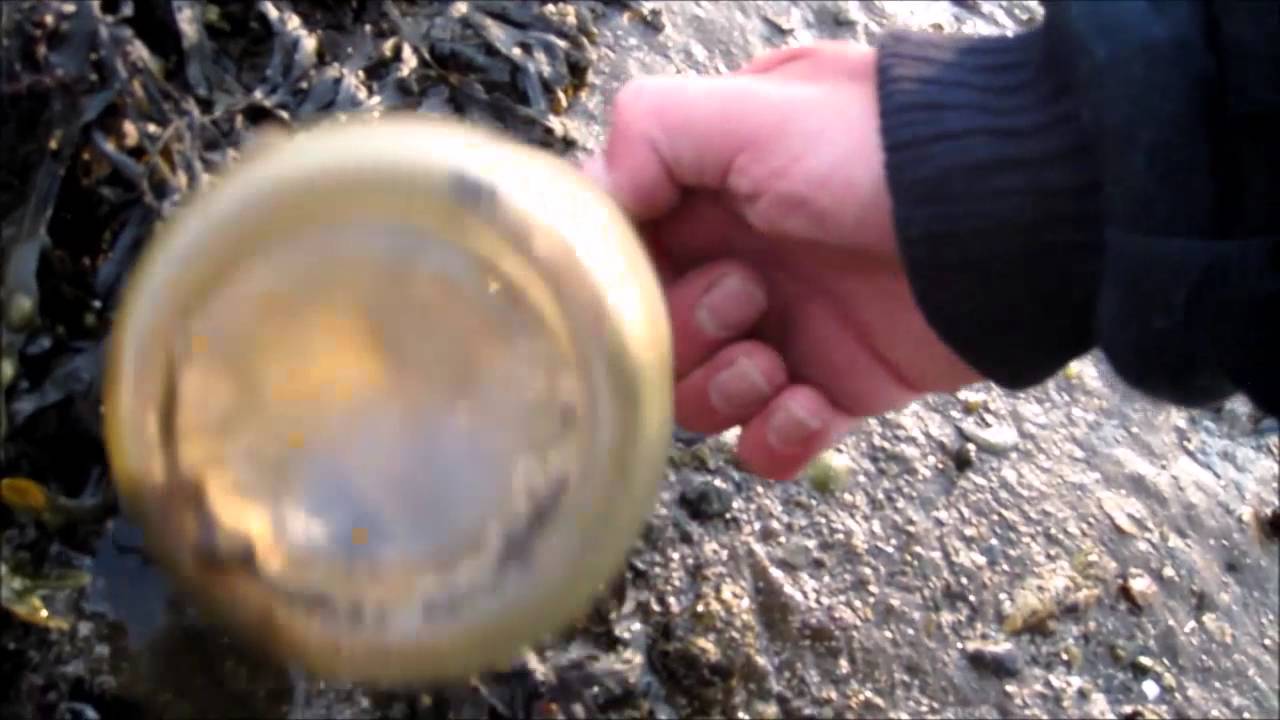 Beach Combing Scotland 08/05/2016 Hunt: Glass Galore