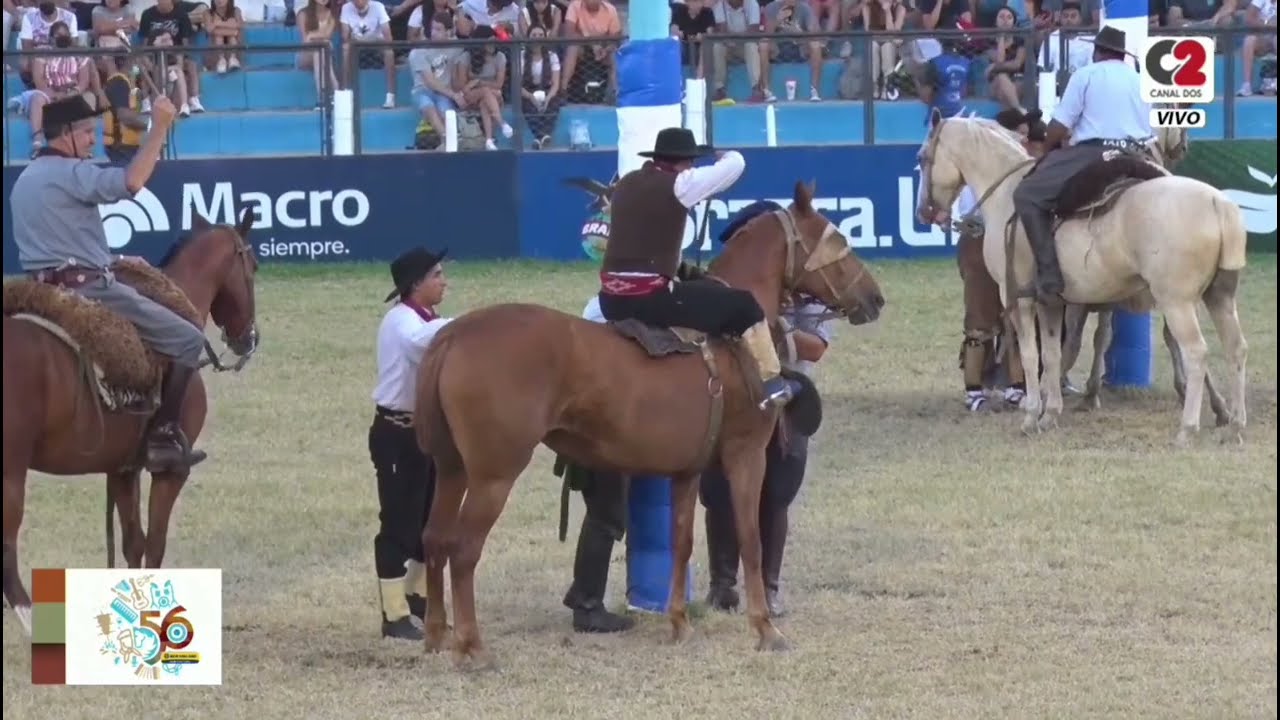 Las mejores jineteadas de Robert Castillo