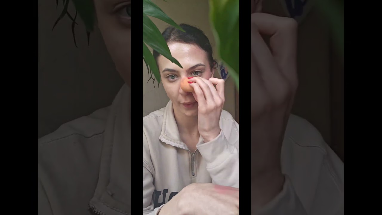 kremowy róż Claresa x Kitulec