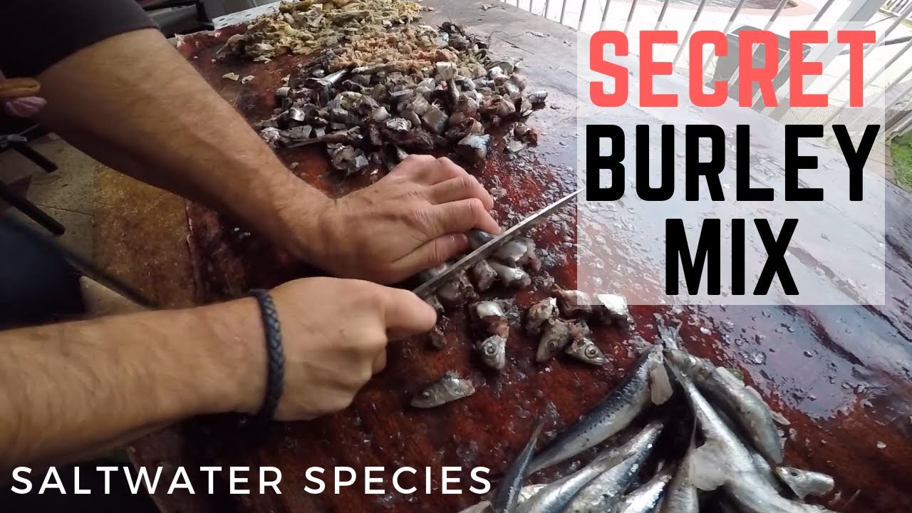How To Make Burley - Saltwater Species