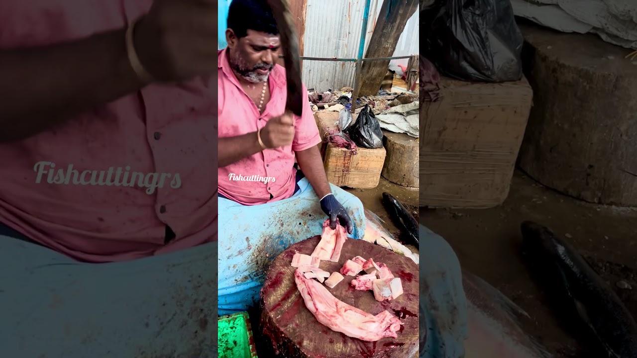 Fishcuttingrs #fish #kasimedu #fishcuttingrs