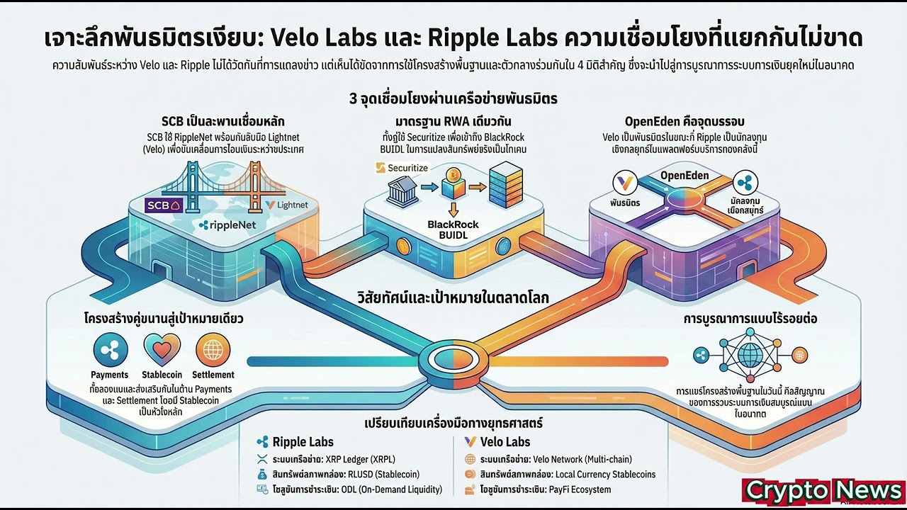 แฉความสัมพันธ์ Velo x Ripple — พันธมิตรเงาที่ถูกมัดรวมกันด้วย 'SCB และ BlackRock'