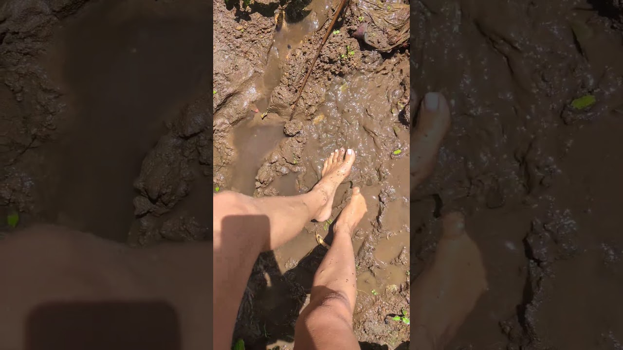 muddy puddles! would you like to join? 🐽 #muddypuddles #barefoot #feet #mud #usa