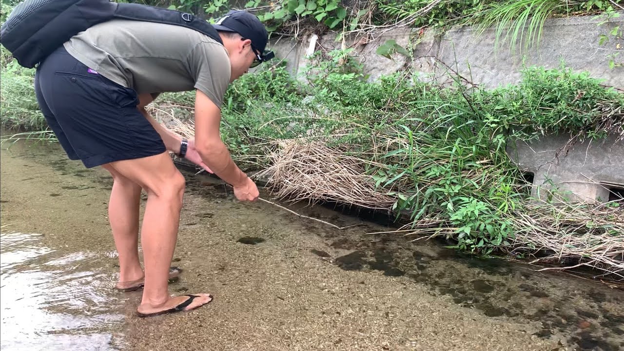天然ウナギ穴釣り！