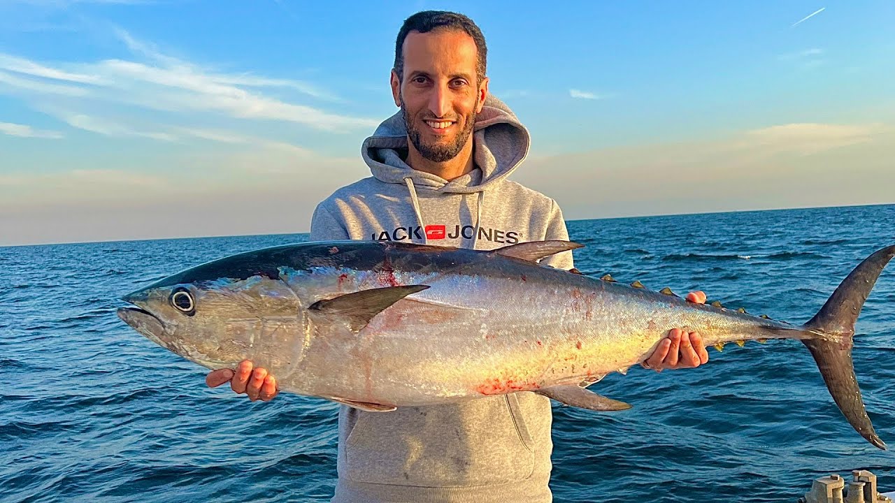 تونة الكويت العنيده