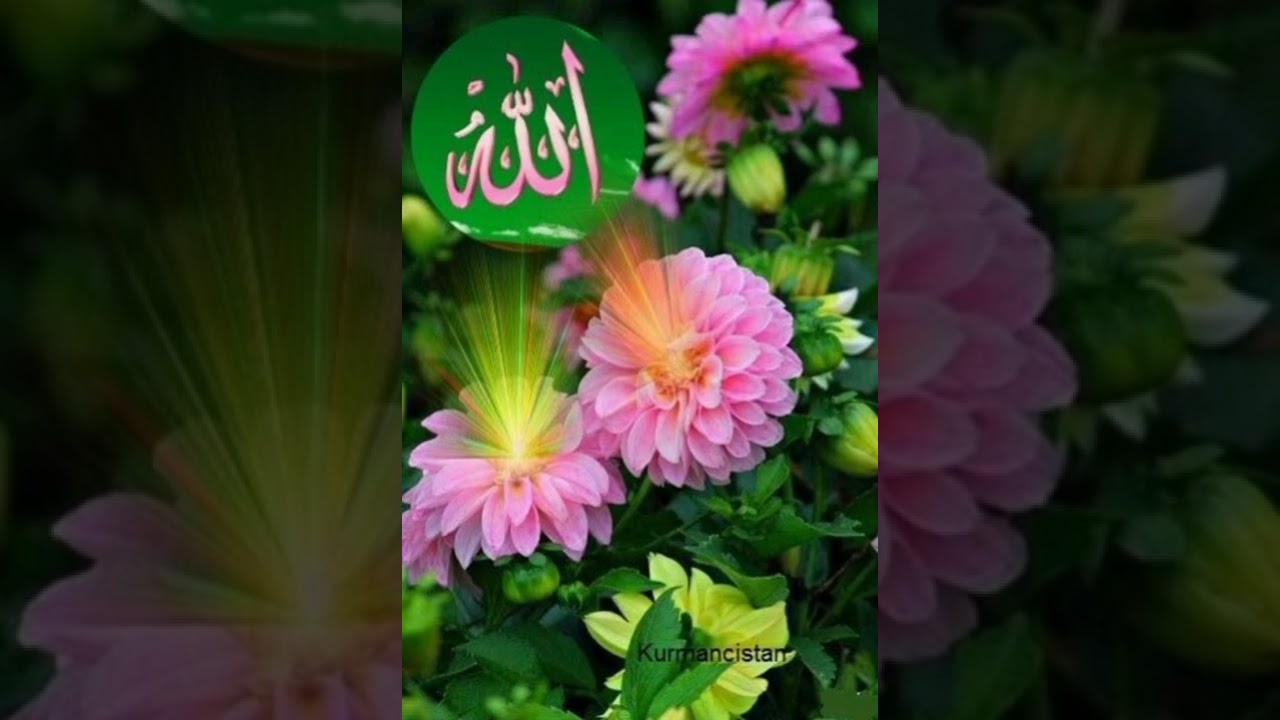 Qasiido  Sheekh Yousuf Kaynuun RA